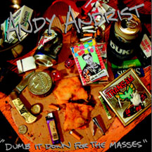 Andy Andrist - Dumb It Down For The Masses