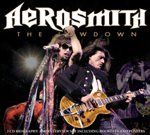 Aerosmith - The Lowdown