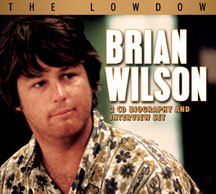 Brian Wilson - The Lowdown