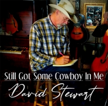 David Stewart - Still Got Some Cowboy In Me