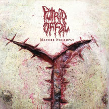 Putrid Offal - Premature Necropsy: The Carnage Continues