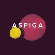 Aspiga - What Happened To You