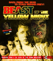 Beast Of The Yellow Night