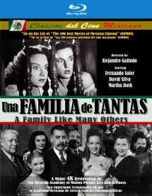 Una Familia De Tantas (A Family Like Many Others)