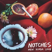 Notches - New Kinda Love/Almost Ruined Everything