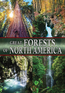 Great Forests Of North America