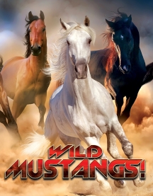 Wild Mustangs!