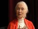 Watch Jane Goodall: Blessing the Animals